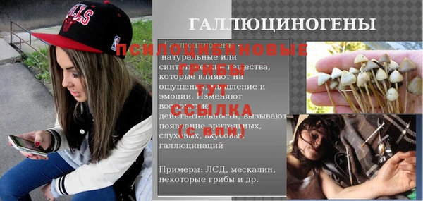 первитин Кукмор