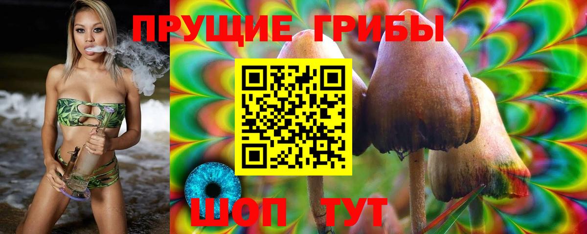 Галлюциногенные грибы Cubensis Нижневартовск
