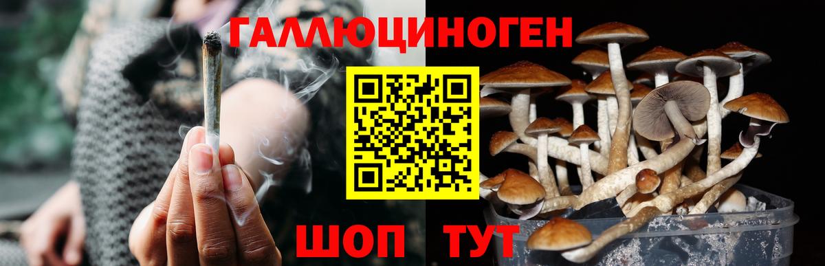 Нижневартовск  Псилоцибиновые грибы мухоморы  Вход с VPN 